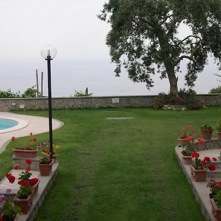Olga's Relais